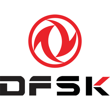 a picture showing the logo of Dsfk